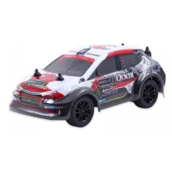 Rally Monster Remote Control Car